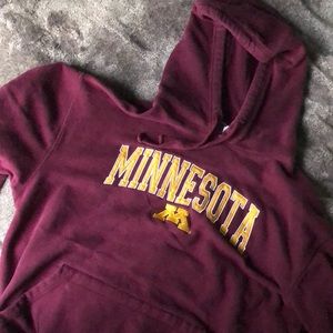 University Minnesota Sweater